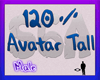 120 % avater tall m