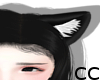 CC| Copy Cat's Ears F-M