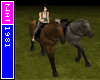 (Nat) Horse Rider Bundle