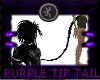 {E} Purple Tip Tail