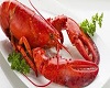 lobster food