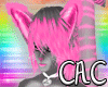 [C.A.C] Pink Tigi Simon