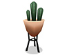 Retro Cactus Plant