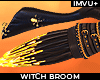 ! gold witch broom