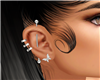 Perfect  Ears + Piercing
