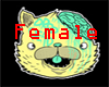 [PG] Kitty Brainz DD