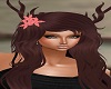 Jenu Antlers 1