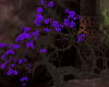 Violet Flower Tree