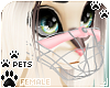 [Pets] Muzzle | Rose