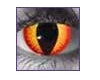 Reddish Cat Eyes