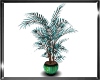 Teal Plant