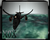 X0X : VIP aircraft