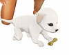 Animated White Puppy