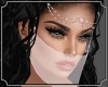 Belly Dancer Veil