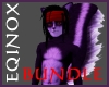 Purple Skunk Bundle (M)