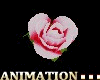 1 Animated Floating Rose