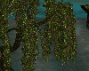 [kyh]water tree poses