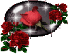 red roses globe