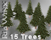 15 Fall Pine Trees