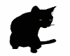 CAT BLACK ANIMATED