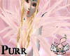 <3*P Pink feathers