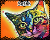 S - Colorful Cat Poster