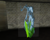mermaid plant pic