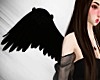 Black Wings (animated)