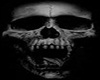 Skull Picture