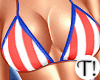 T! 4th July Set v6