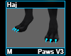 Haj Paws M V3