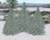 Pine Tree Groups of 3