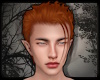 + Adon Hair - ginger