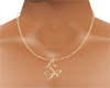 *BG* ISR Male necklace