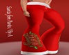 A/  Santa Fem / Pants