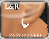 [Z] Diamond Earrings R&L