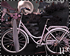 Pink Romantic Bicycle