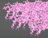 Kawaii Pink Sakura