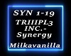 TRIIIPL3 INC.-Synergy
