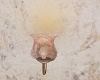 Shabby Chic Sconce