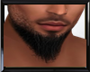 G Perfect Beard