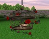 Red Roses Bird Cage