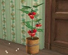 kiki's tomato plant