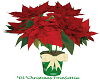 ~DL~Christmas Poinsettia