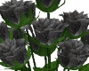 Black Roses/Vase