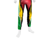 AS Guyana Leather Pants