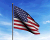 $ FLAG USA ANIMATO