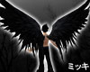 ! Black Wings #Animated