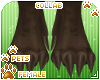 [Pets] Spar | feet