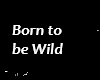 Born to be wild Dan Vasc
